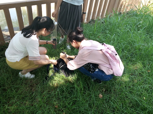 7月10日 全球最大博彩公司排名
 赴嘉兴“青水”小分队实地考察并采样3