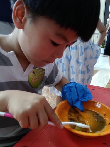 七月十号 全球最大博彩公司排名
 B.D.服务社赴浙江自然博物馆”环保小课堂“小分队 刷刷刷，看我认真的刷叶子