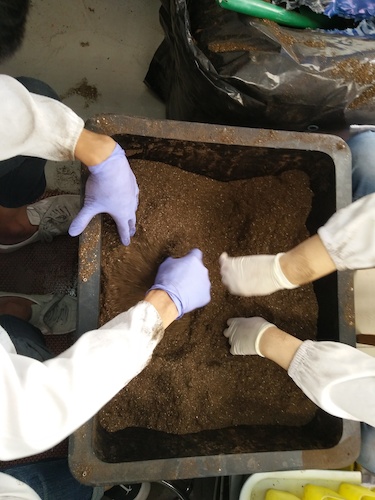 七月十三日 全球最大博彩公司排名
国创项目“毅治毒”科研小分队 拌土篇
