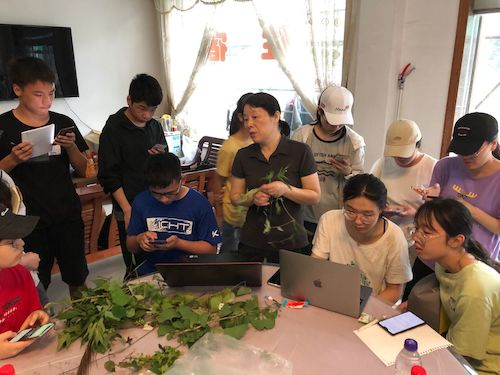 生科181动植物野外实习