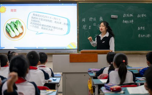 博彩公司
学生给小学生讲课