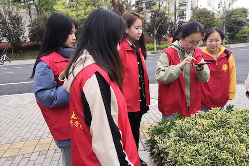 博彩公司
树牌编写志愿者