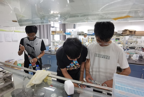 7月14日博彩公司
水质检测社会实践小分队进行水质检测操作