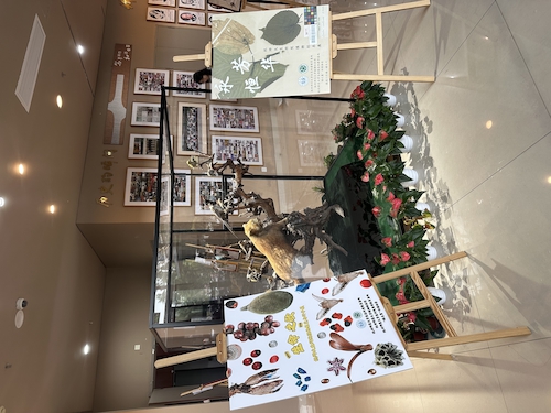 2024.10.29杭师大博彩公司
“永恒芳华”植物标本展和“生命之歌”果实与种子展览1